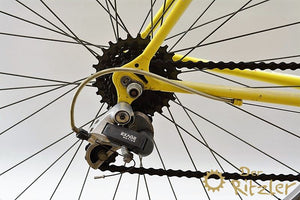 MBK Trainer Damenrad RH 48