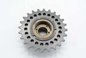 Maillard Course 7-fach Schraubkranz 13-24