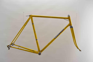 Masi Gran Criterium Rahmenset RH 55