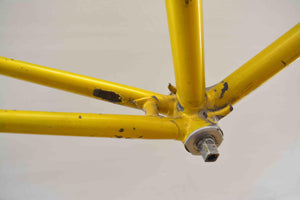 Masi Gran Criterium Rahmenset RH 55