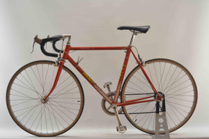 Moser/Motobecane Profile 2 Rennrad RH 51