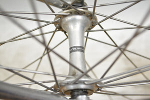 Pagelli Vigorelli Speedbike RH 59