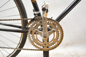 Pagelli Vigorelli Speedbike RH 59