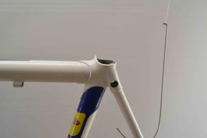 Panasonic PR 6000 Rahmenset RH 55