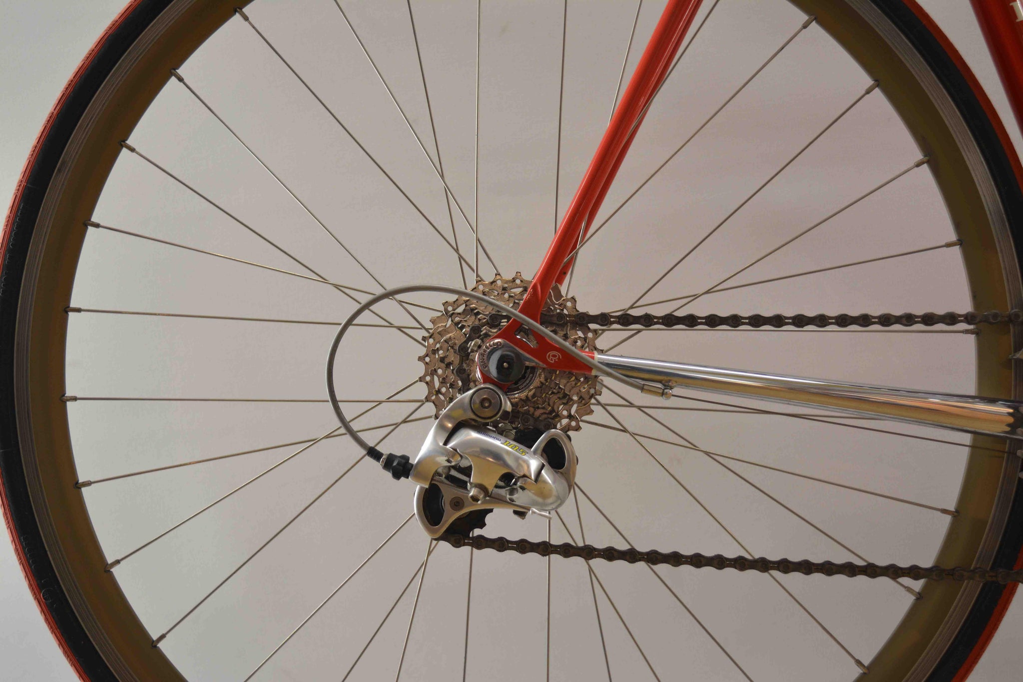 vuelta rennrad Pinarello Vuelta Rennrad RH 54
