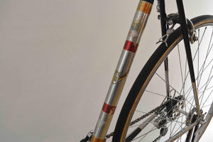 Rabeneick model Campagnolo racefiets RH 56