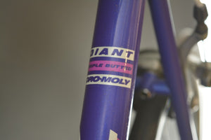 Giant Peloton Superlite Rennrad RH 49