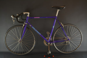 Peugeot Catania racing bike frame size 56