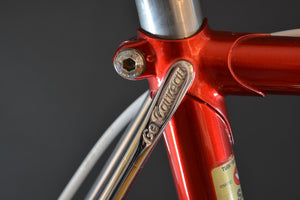 Le Taureau Rennrad RH 57