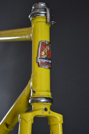 Peugeot Rahmenset RH 57