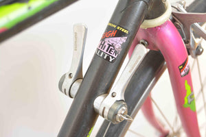 Raleigh Brazil Speedbike RH 51