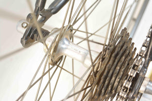 Raleigh Brazil Speedbike RH 51