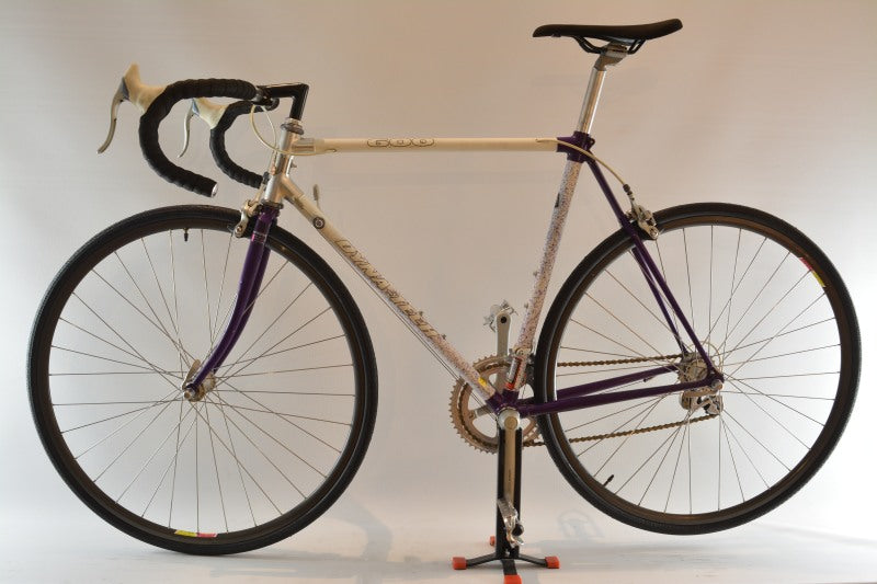 raleigh rennrad gold Raleigh Dyna-Tech 600 Rennrad RH 54