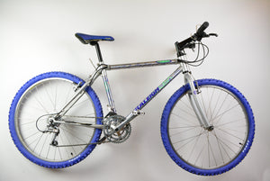 Raleigh Aluminium Chill 复古山地自行车 41,5 厘米