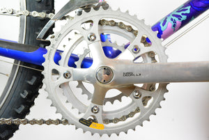 Raleigh Dyna-Tech Titanium Vintage Mountainbike 47,5cm