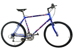 Raleigh Dyna-Tech Titanium Vintage Mountainbike 47,5cm