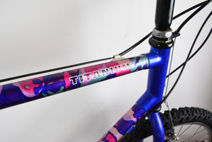 Raleigh Dyna-Tech Titanium Vintage Mountainbike 47,5cm