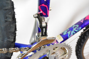 Raleigh Dyna-Tech Titanium Vintage Mountainbike 47,5cm