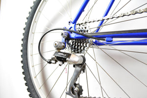 Raleigh Dyna-Tech Titanyum Eski Tip Dağ Bisikleti 47,5 cm
