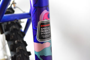 Raleigh Dyna-Tech Titanium Vintage Mountainbike 47,5cm