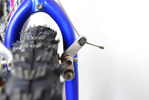 Raleigh Dyna-Tech Titanium Vintage Mountainbike 47,5cm