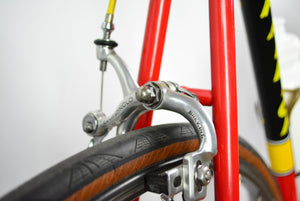 Raleigh Team TI SBDU Bicicleta de Carretera Vintage Campagnolo 62cm