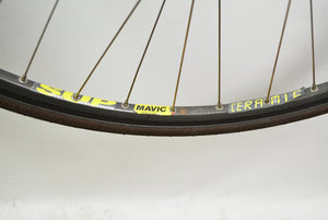 Raleigh Panasonic SBDU Vintage Rennrad 57,5cm