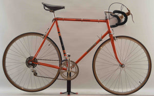 Raymond Poulidor Special Poulidor Rennrad RH 58