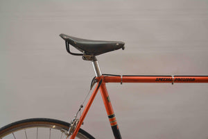 Raymond Poulidor Special Poulidor Rennrad RH 58