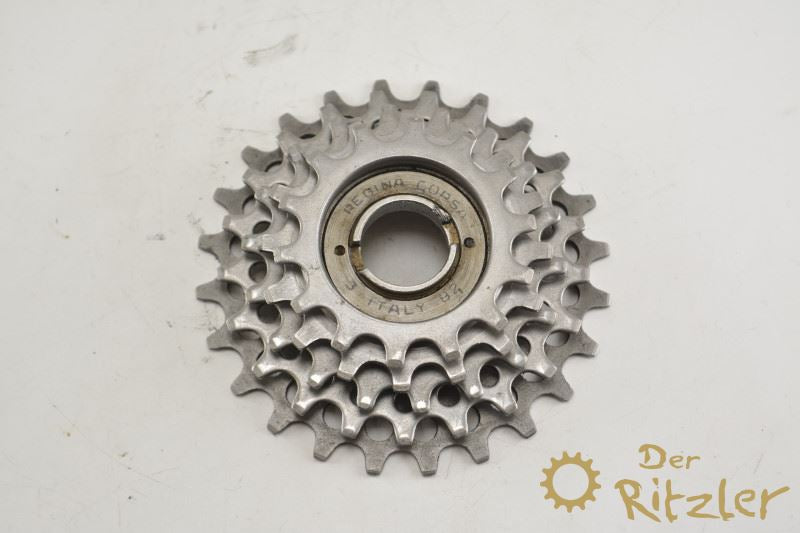 Regina Corsa 5-fach Schraubkranz 14-24 Zähne
