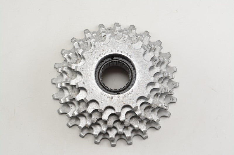 Regina Extra America 6-fach Schraubkranz 14-24 Zähne