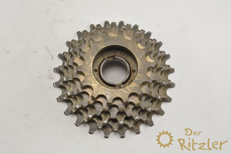 Regina Oro 6-fach Schraubkranz 14-24 Zähne