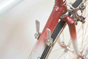 Rossin Rennrad RH 57