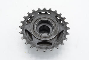 Sachs/Maillard LY 95 Schraubkranz 13-24 Zahn