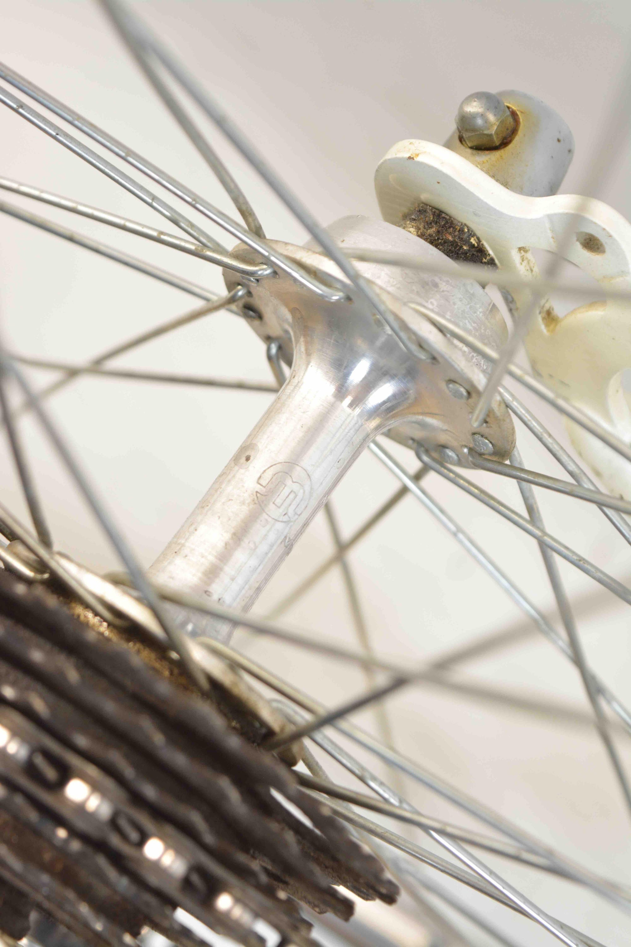 rennrad rh 56 körpergröße Scattini Rennrad RH 56