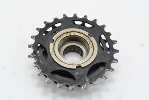 Shimano UG Schraubkranz 14-24 Zahn