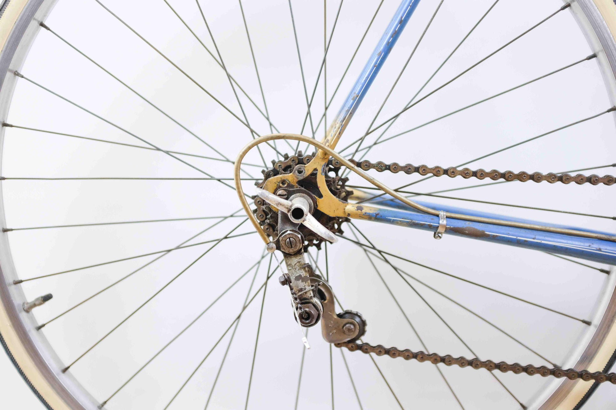 Rabeneick Champion du Monde RH 58 Le Ritzler