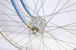 Rabeneick Champion du Monde RH 58