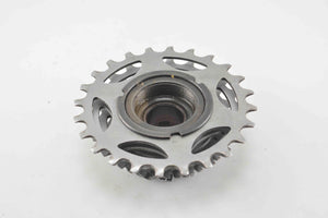 Shimano 600 Schraubkranz  6-fach 14 - 24 Zähne